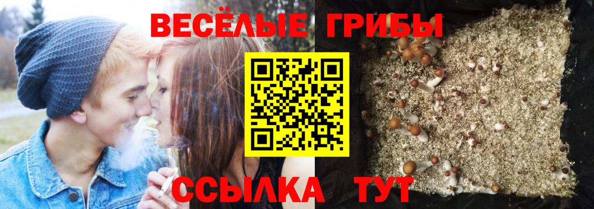 Бахчисарай  Галлюциногенные грибы Psilocybine cubensis  Вход с VPN  Галлюциногенные грибы мицелий 