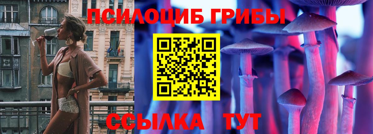 Галлюциногенные грибы Psilocybe Бахчисарай